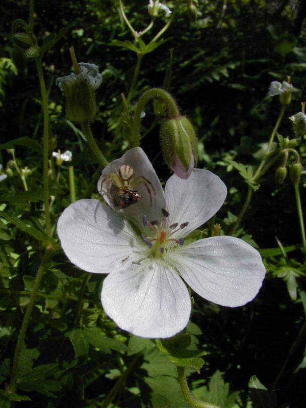 P6300026