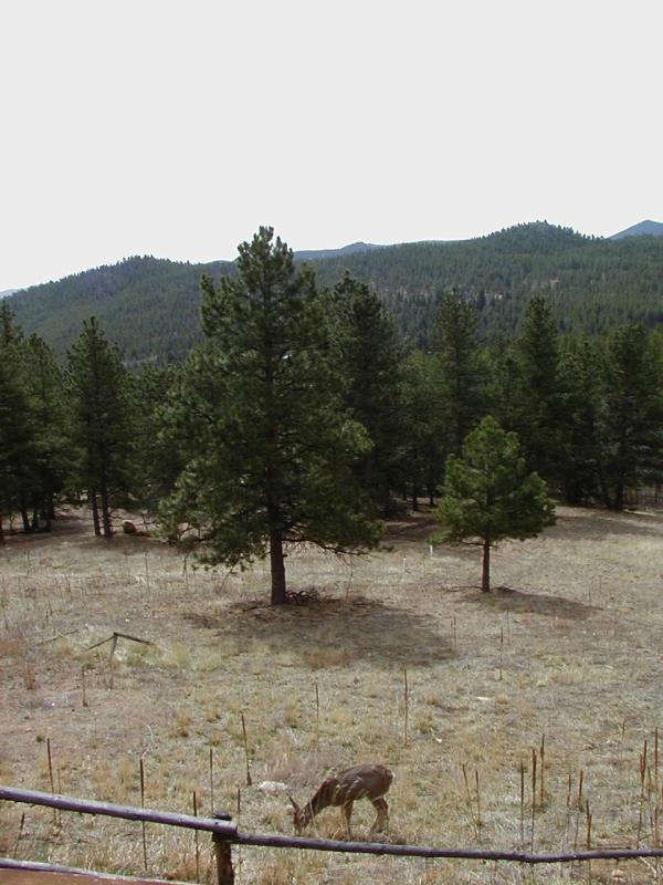 P4250009