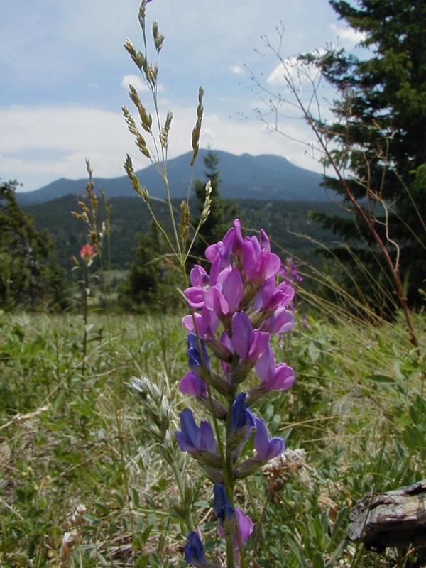 P7040014