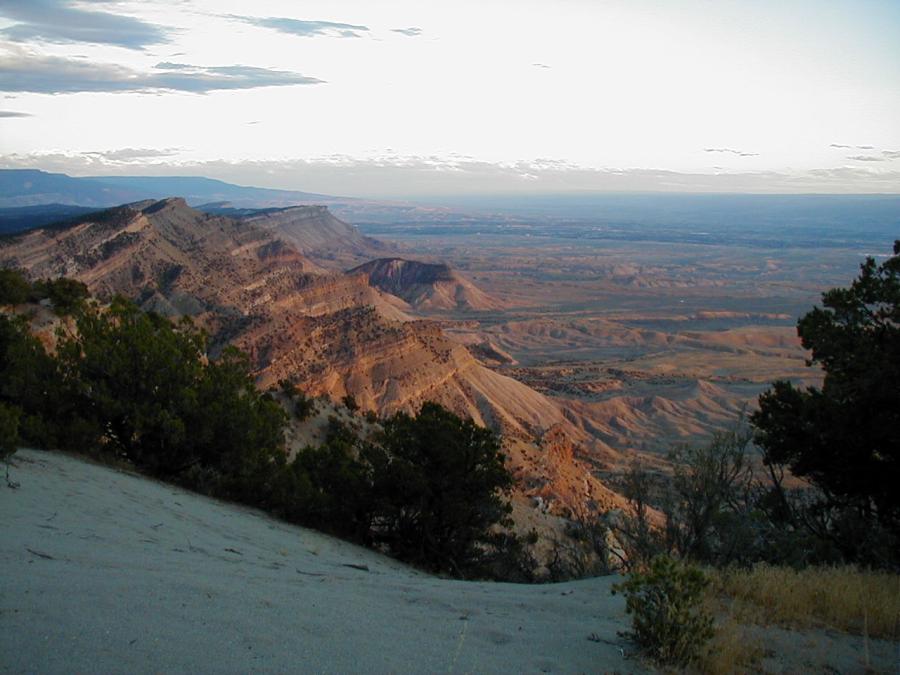 South Shale Ridge Summer 2003