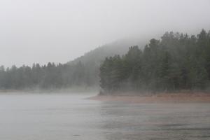 2005