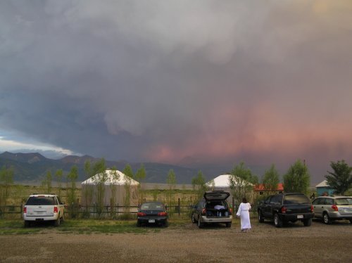 OLYMPUS DIGITAL CAMERA