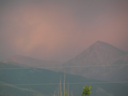 OLYMPUS DIGITAL CAMERA