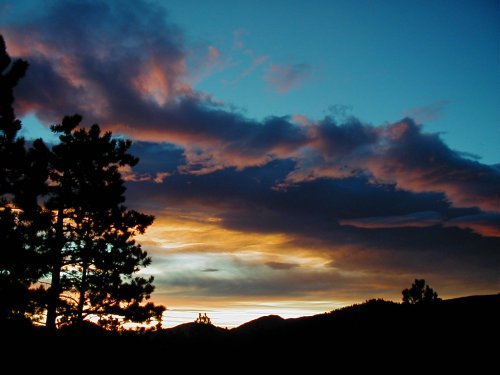 OLYMPUS DIGITAL CAMERA