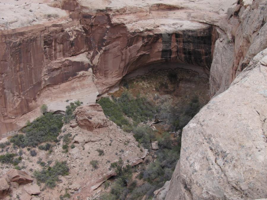 San Rafael Desert Spring 2010