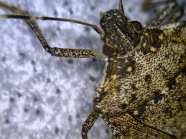 20110202_235309772