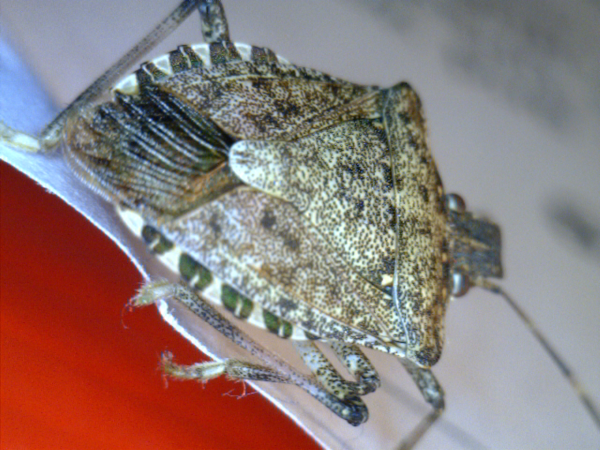 20110203_122132871