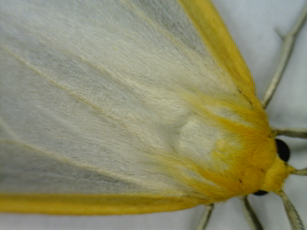 20110507_091943187